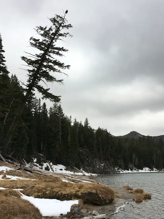 Three Creek Lake Campground Picture 2