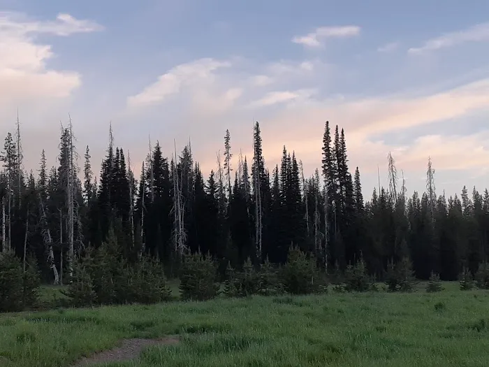 Soda Creek Campground Picture 4