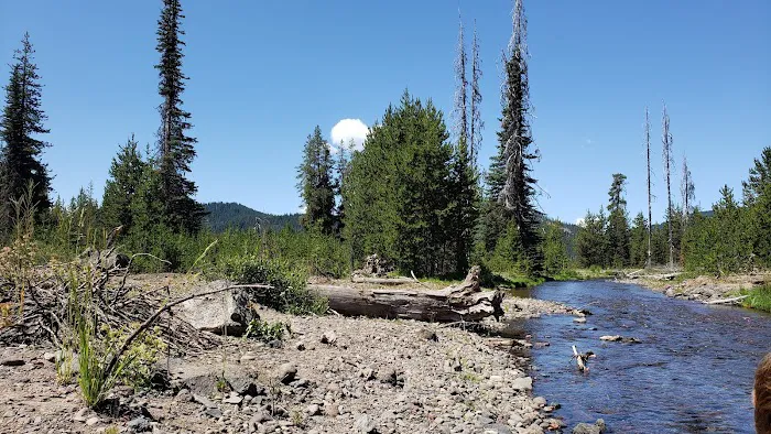 Soda Creek Campground Picture 7