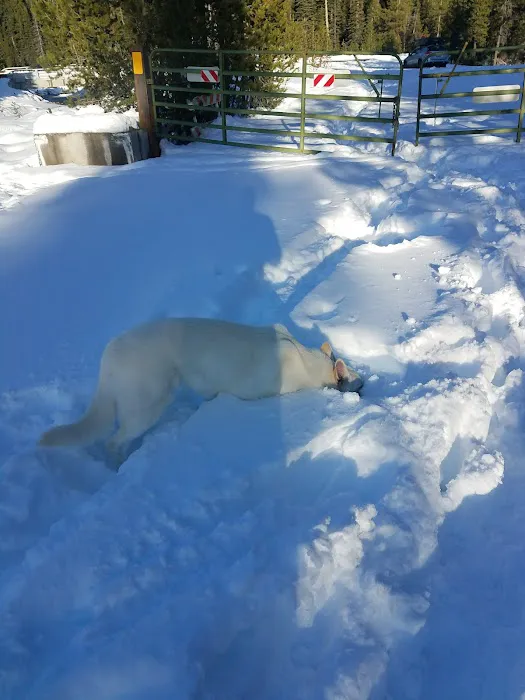 Soda Creek Campground Picture 10