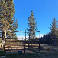 Quinn Meadow Horse Camp ico