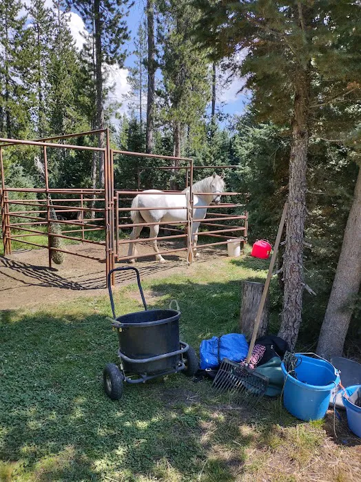 Quinn Meadow Horse Camp Picture 3