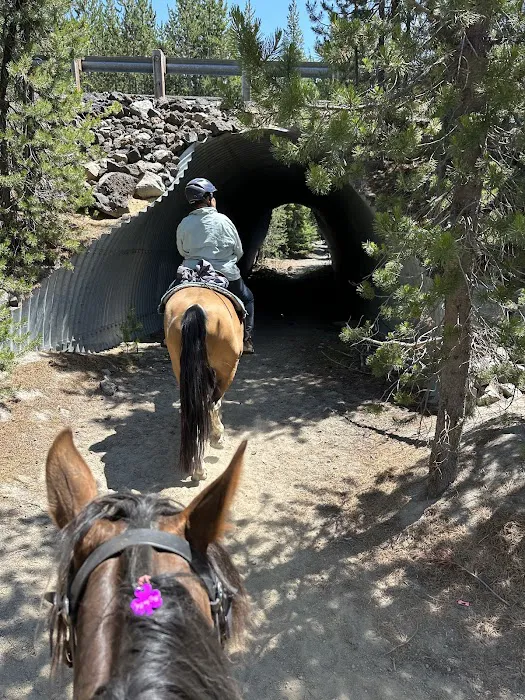 Quinn Meadow Horse Camp Picture 2