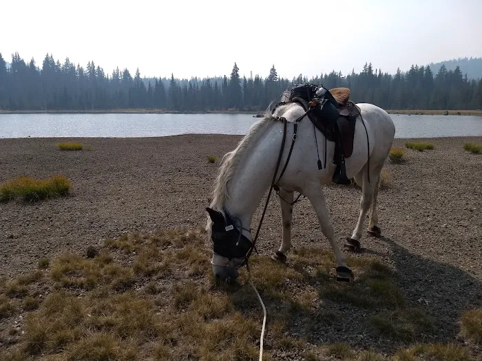 Quinn Meadow Horse Camp Picture 9