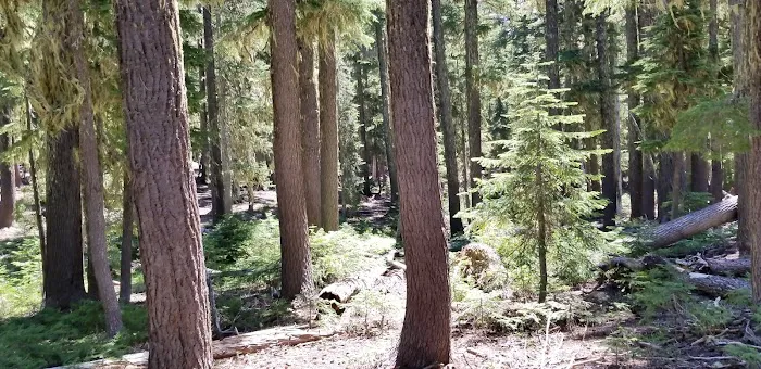 Quinn Meadow Horse Camp Picture 5