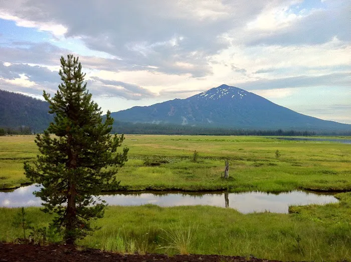 Quinn Meadow Horse Camp Picture 4
