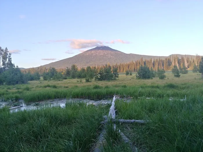 Mallard Marsh Campground Picture 9
