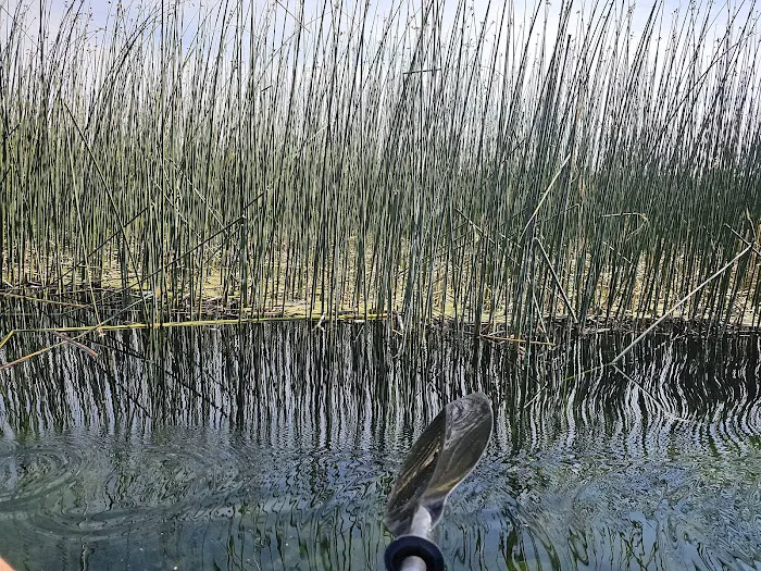Mallard Marsh Campground Picture 7