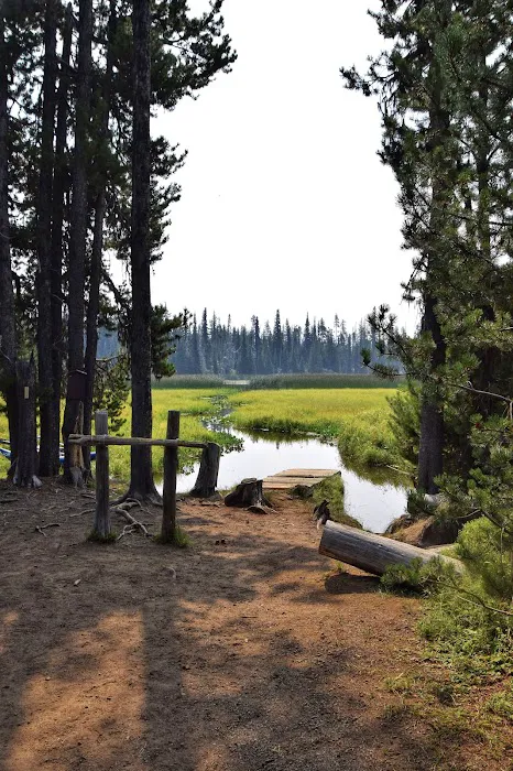 Mallard Marsh Campground Picture 3