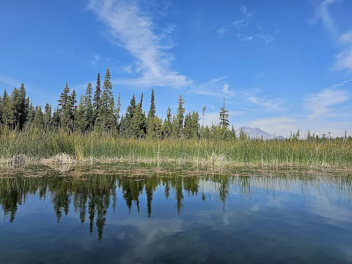 Mallard Marsh Campground Picture 5