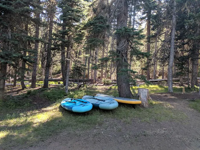 Point Campground Picture 3