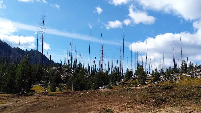 Point Campground Picture 9