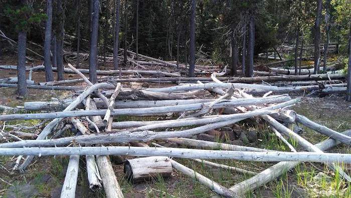 Point Campground Picture 10