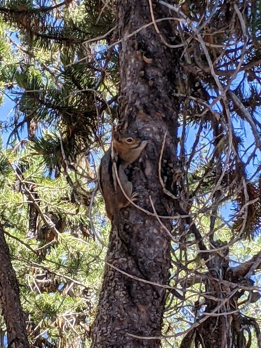 Little Fawn Campground Picture 6