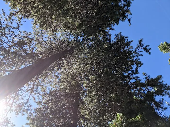Little Fawn Campground Picture 7