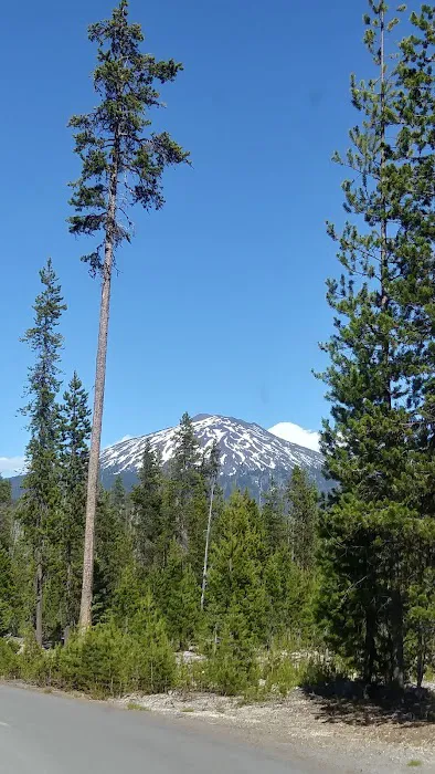Little Fawn Campground Picture 10
