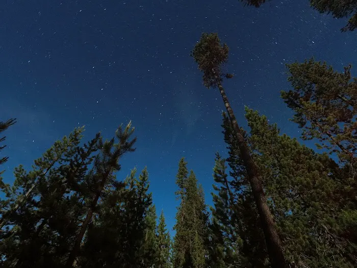 South Campground Picture 7
