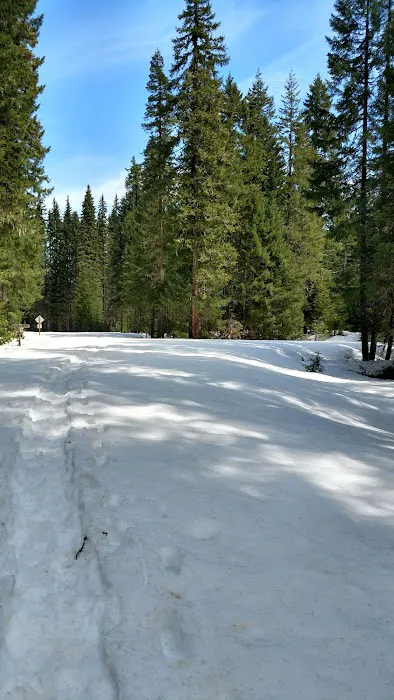 Box Canyon Horse Camp Picture 1