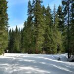 Box Canyon Horse Camp