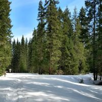 Box Canyon Horse Camp ico