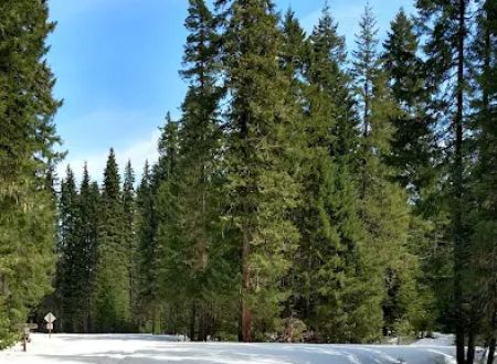 Box Canyon Horse Camp