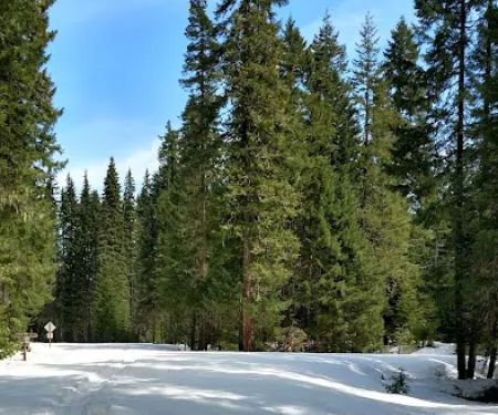 Box Canyon Horse Camp