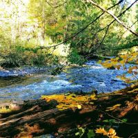 Kiahanie Campground ico