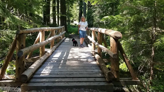 Skookum Creek Campground Picture 2