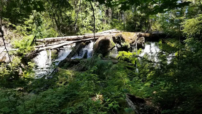 Skookum Creek Campground Picture 4