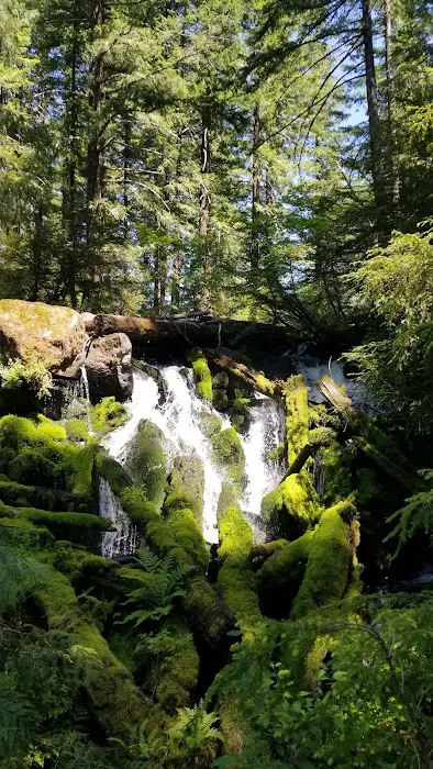 Skookum Creek Campground Picture 1