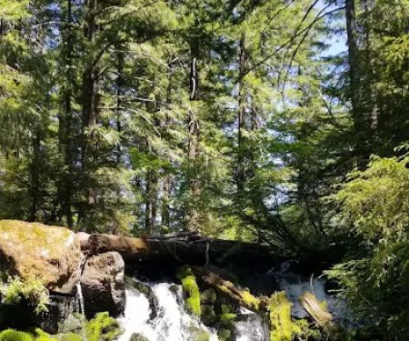 Skookum Creek Campground
