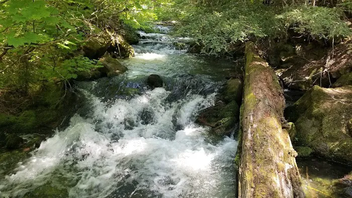 Skookum Creek Campground Picture 6