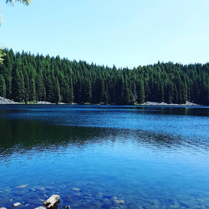 Skookum Creek Campground Picture 7