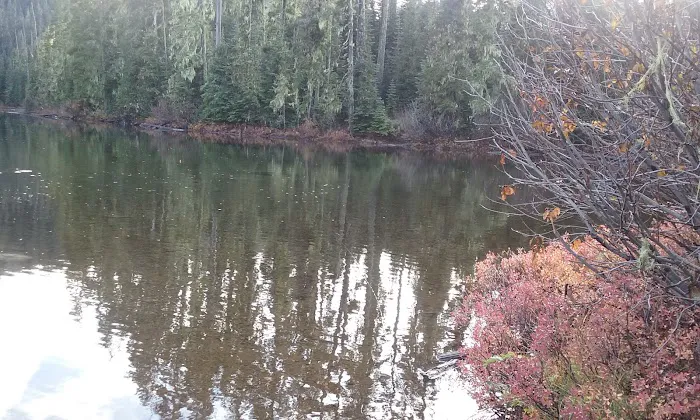 Blair Lake Campground Picture 4