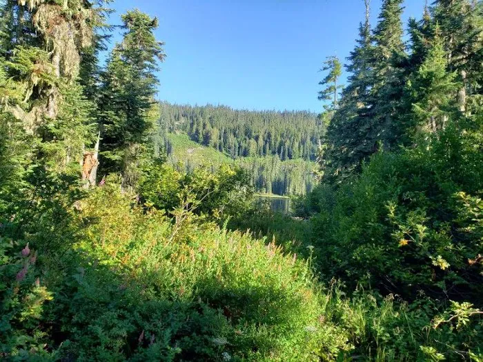 Blair Lake Campground Picture 2