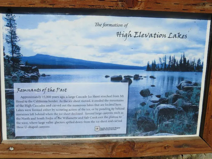 Harralson Horse Camp Picture 10
