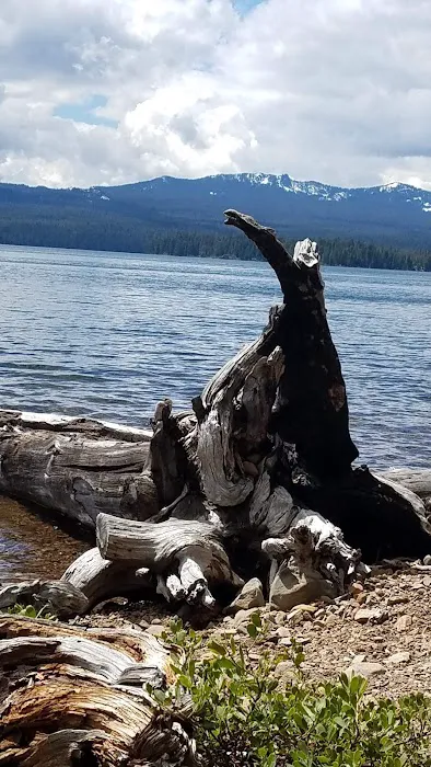 Cultus Lake Campground Picture 4