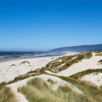 Harbor Vista County Campground & Park ico