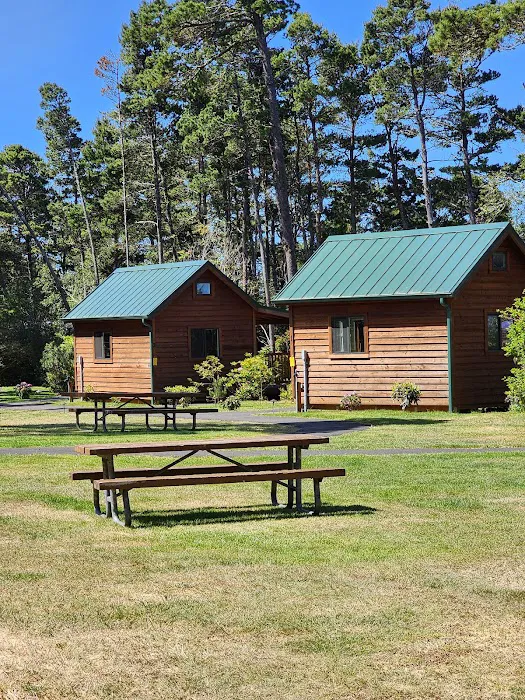 Harbor Vista County Campground & Park Picture 4
