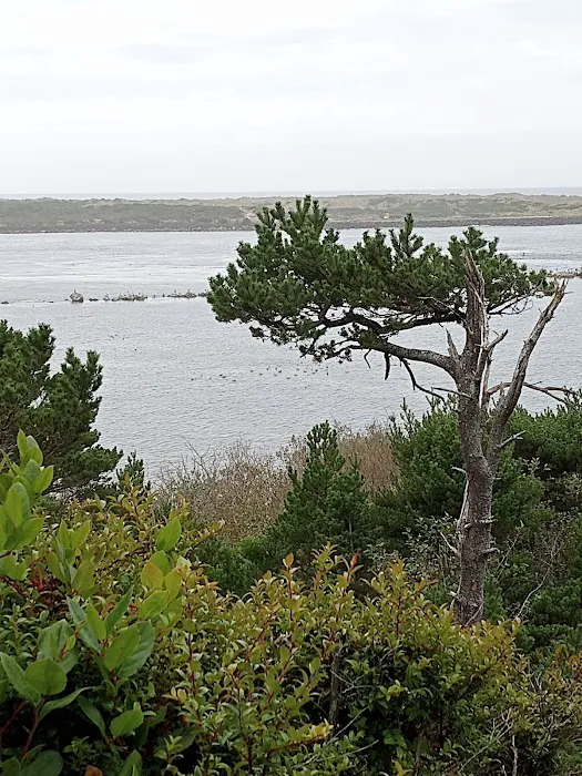 Harbor Vista County Campground & Park Picture 9
