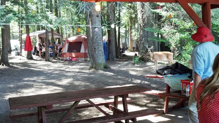 Camp Stidwell, Kiwanis Picture 5