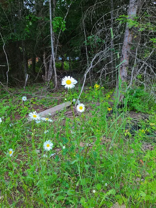 Camp Stidwell, Kiwanis Picture 2