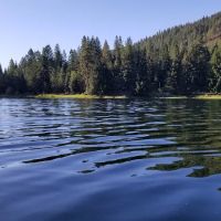 Camp Stidwell, Kiwanis ico