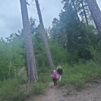 Green Bay campground beach ico