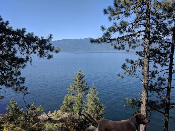 Whiskey Rock Bay Campground Picture 3