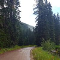 Primitive Campsite ico