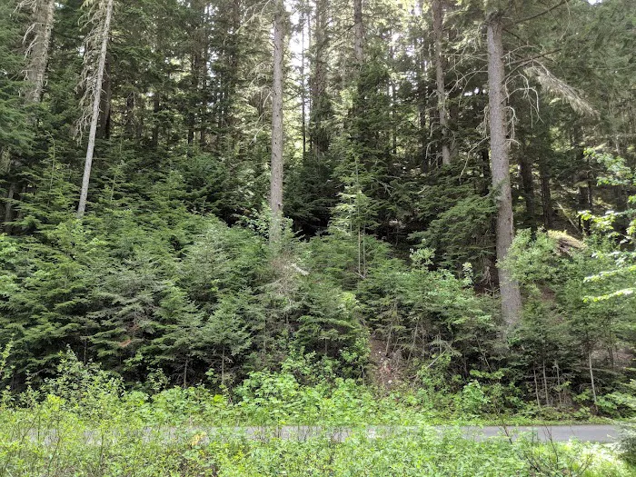 Honeysuckle Campground Picture 1