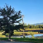 Alex’s Campground