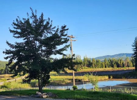 Alex’s Campground