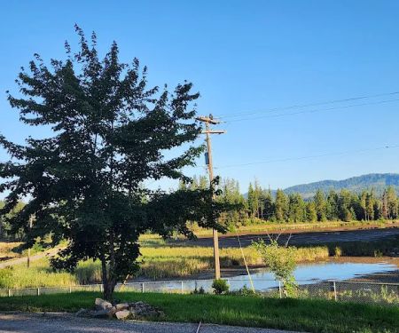 Alexu2019s Campground